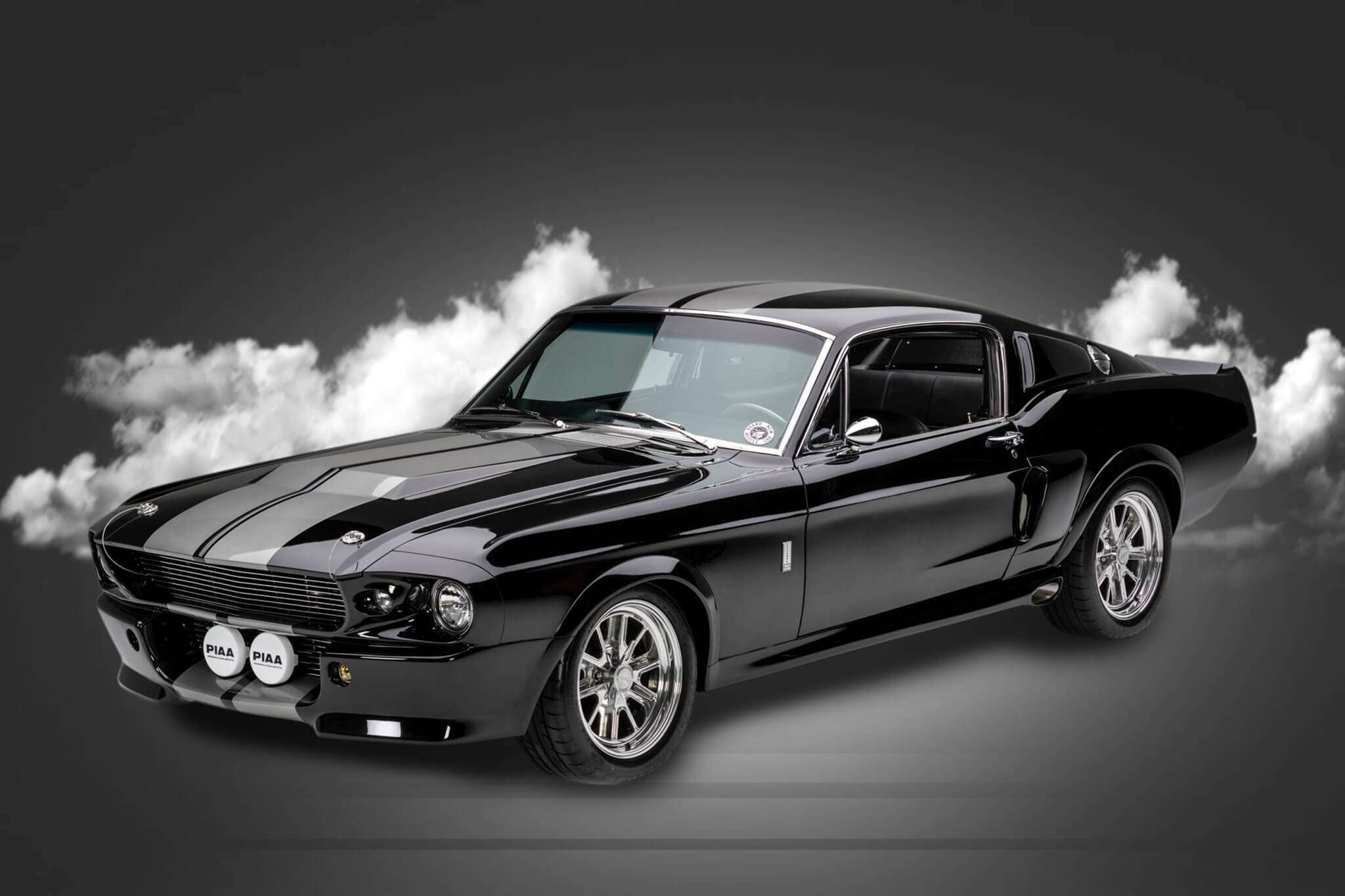 fastback background 2 (1)