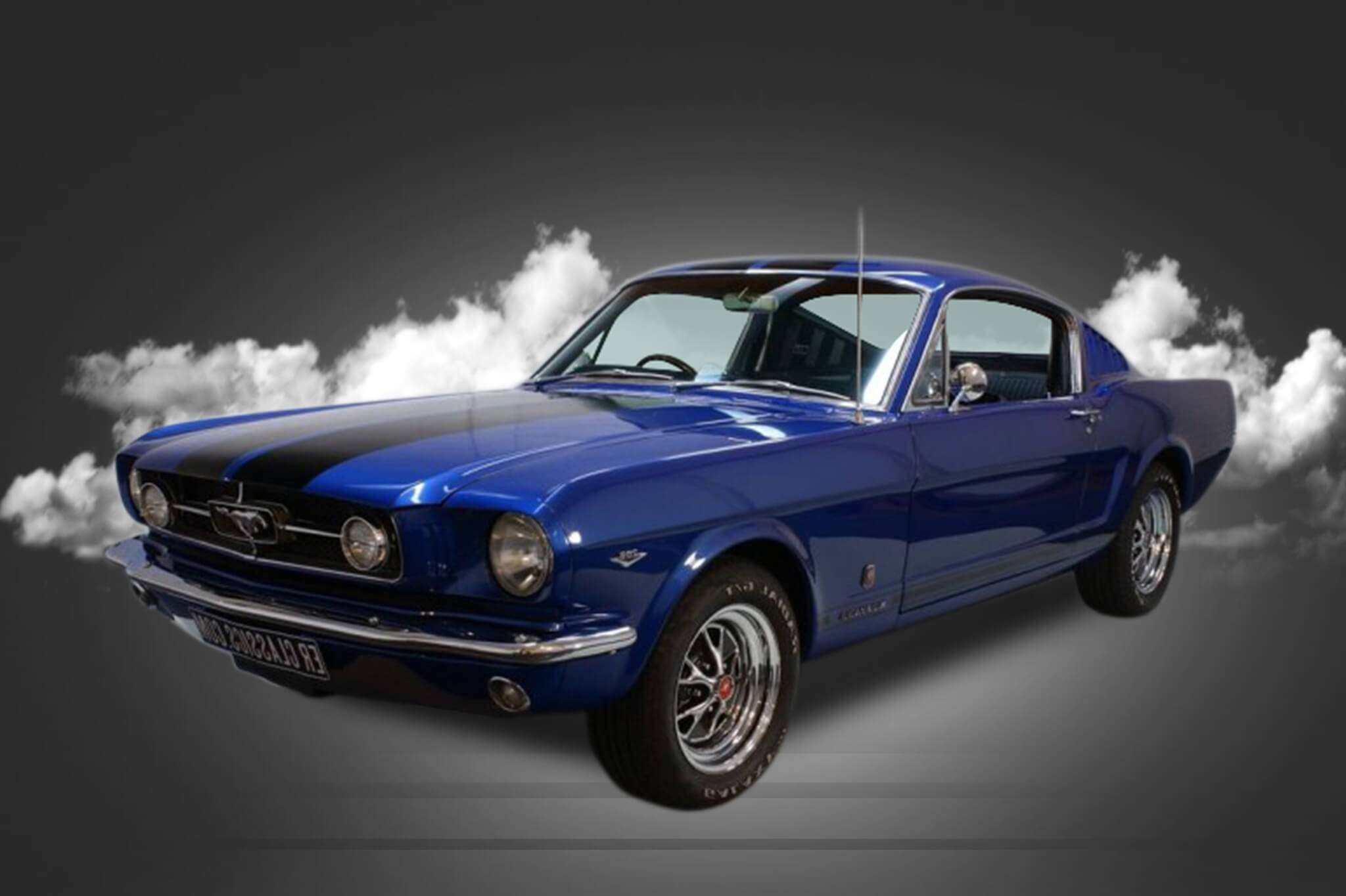 fastback background 2_2 (1)